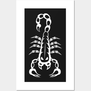 White scorpion Posters and Art